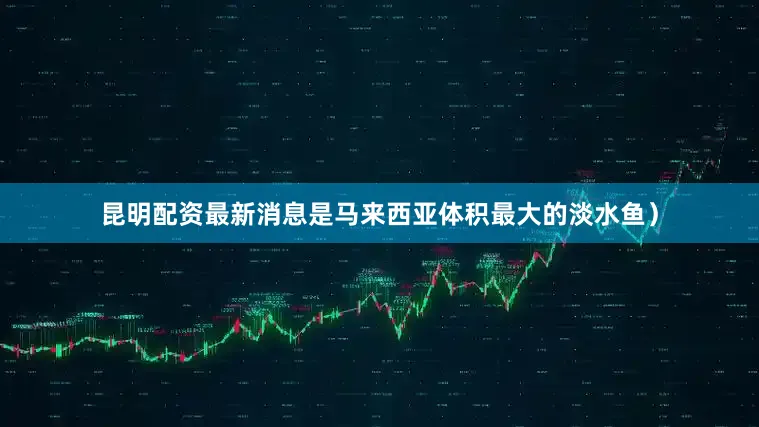 昆明配资最新消息是马来西亚体积最大的淡水鱼）