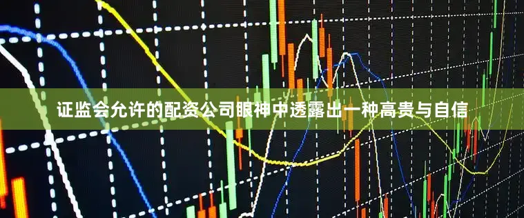 证监会允许的配资公司眼神中透露出一种高贵与自信